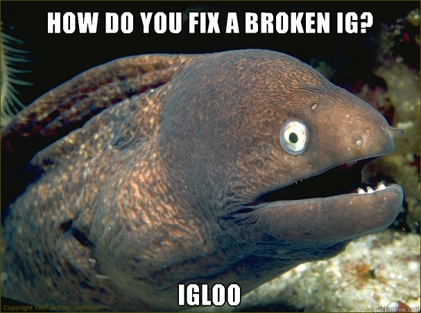 How do you fix a broken ig? Igloo  Bad Joke Eel