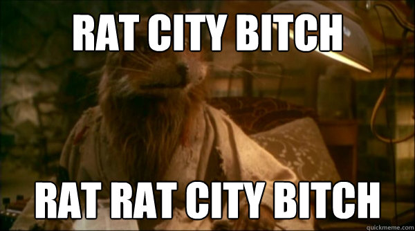 RAT CITY BITCH RAT RAT CITY BITCH - RAT CITY BITCH RAT RAT CITY BITCH  RAT CITY BITCH