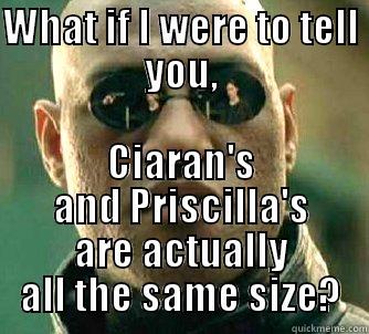 WHAT IF I WERE TO TELL YOU, CIARAN'S AND PRISCILLA'S ARE ACTUALLY ALL THE SAME SIZE? Matrix Morpheus