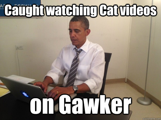 Caught watching Cat videos on Gawker  President AMA