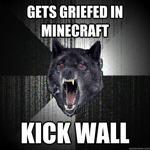 Gets Griefed in Minecraft kick wall  Insanity Wolf