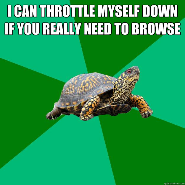 I can throttle myself down if you really need to browse   - I can throttle myself down if you really need to browse    Torrenting Turtle