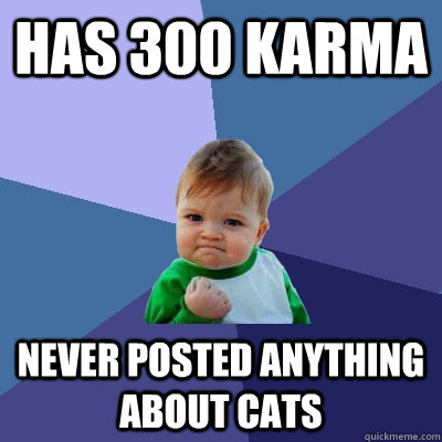 has 300 karma never posted anything about cats  Success Kid