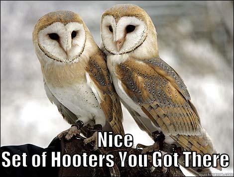 nice set of hooters -  NICE SET OF HOOTERS YOU GOT THERE Misc