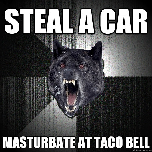 steal a car masturbate at taco bell  Insanity Wolf