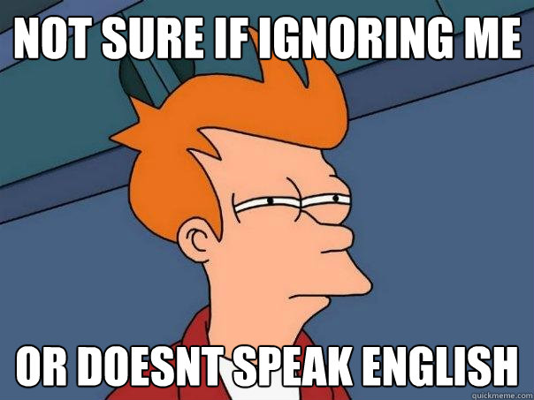 Not sure if ignoring me Or doesnt speak english  Futurama Fry