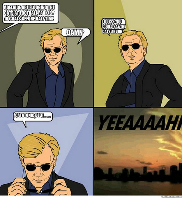 Adelaide are flogging the cats at football park, by 10 goals before half time Damn I guess you could say the cats are on catatonic beer  David Caruso CSI