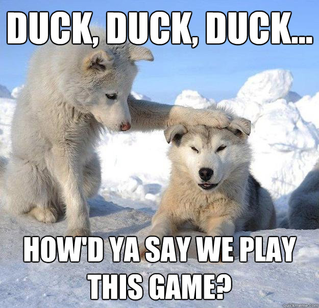 duck, duck, duck...
 how'd ya say we play this game?  Caring Husky