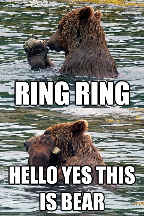 RING RING HELLO YES THIS IS BEAR - RING RING HELLO YES THIS IS BEAR  This is bear