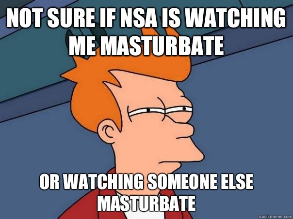 Not sure if NSA is watching me masturbate Or watching someone else masturbate  Futurama Fry