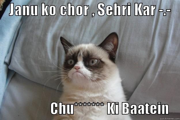    JANU KO CHOR , SEHRI KAR -.-                        CHU******* KI BAATEIN    Grumpy Cat