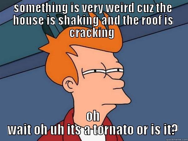 something scrang - SOMETHING IS VERY WEIRD CUZ THE HOUSE IS SHAKING AND THE ROOF IS CRACKING  OH WAIT OH UH ITS A TORNATO OR IS IT? Futurama Fry