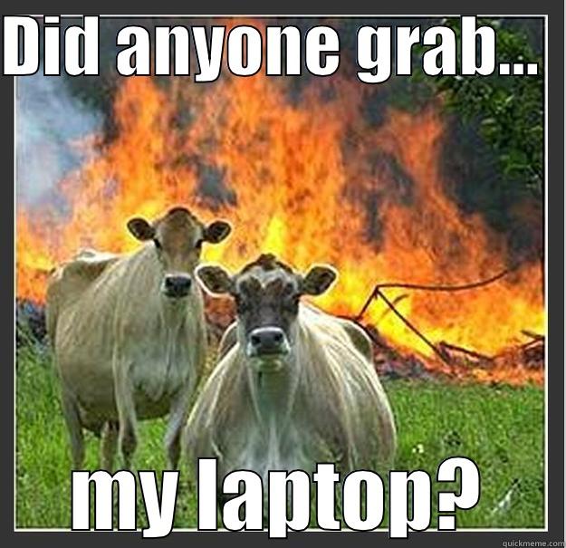 DID ANYONE GRAB...   MY LAPTOP? Evil cows