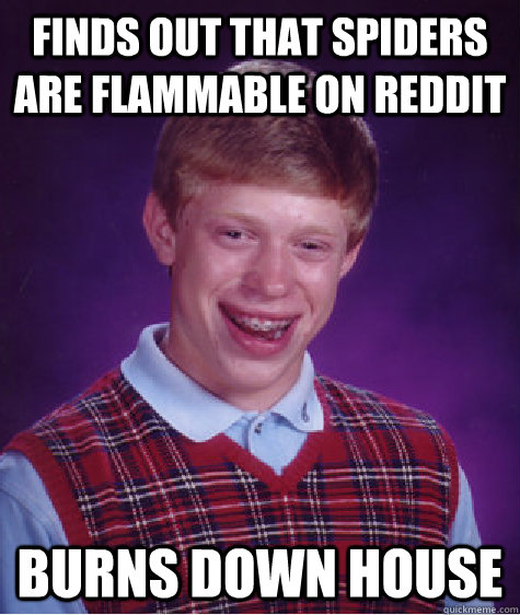 finds out that spiders are flammable on reddit Burns down house  Bad Luck Brian