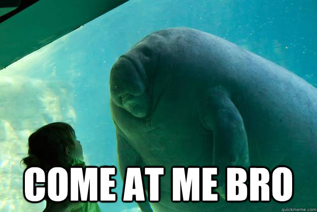  Come at me bro  Overlord Manatee