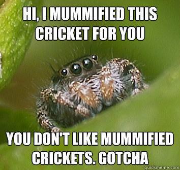 hi, i mummified this cricket for you you don't like mummified crickets. Gotcha  