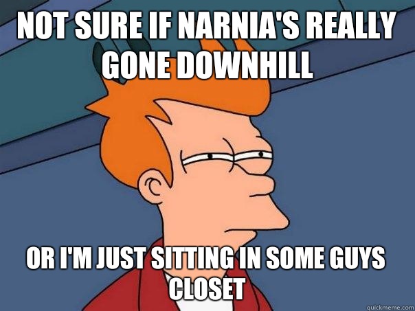 Not sure if Narnia's really gone downhill Or I'm just sitting in some guys closet  Futurama Fry