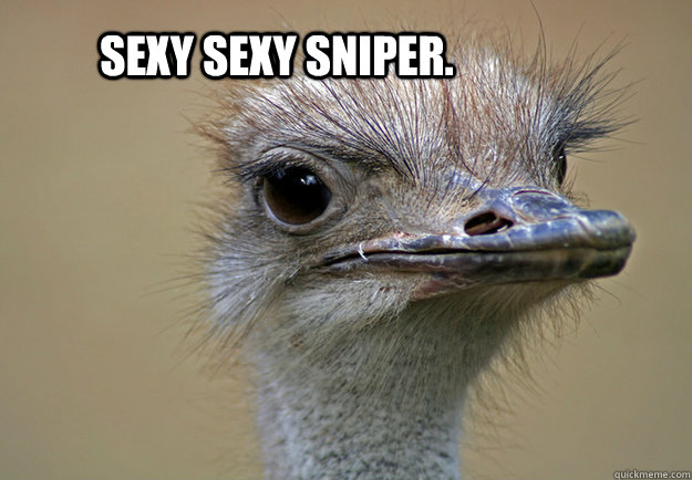 Sexy Sexy Sniper.  Sexy Sexy Sniper