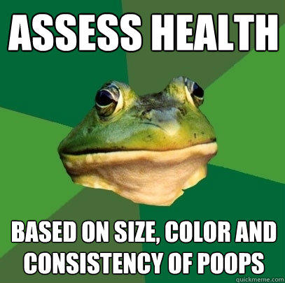 assess health based on size, color and consistency of poops  Foul Bachelor Frog