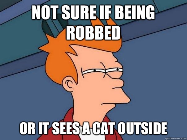 NOT SURE IF BEING ROBBED OR IT SEES A CAT OUTSIDE - NOT SURE IF BEING ROBBED OR IT SEES A CAT OUTSIDE  Futurama Fry