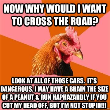 Now why would I want to cross the road? Look at all of those cars.  It's dangerous. I may have a brain the size of a peanut & run haphazardly if you cut my head off, but I'm not stupid!!! - Now why would I want to cross the road? Look at all of those cars.  It's dangerous. I may have a brain the size of a peanut & run haphazardly if you cut my head off, but I'm not stupid!!!  Anti-Joke Chicken