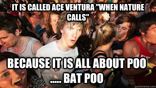 It is called Ace Ventura 