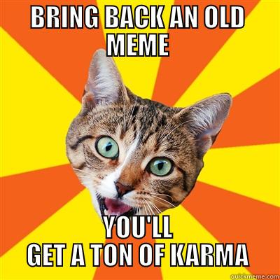 BRING BACK AN OLD MEME YOU'LL GET A TON OF KARMA Bad Advice Cat