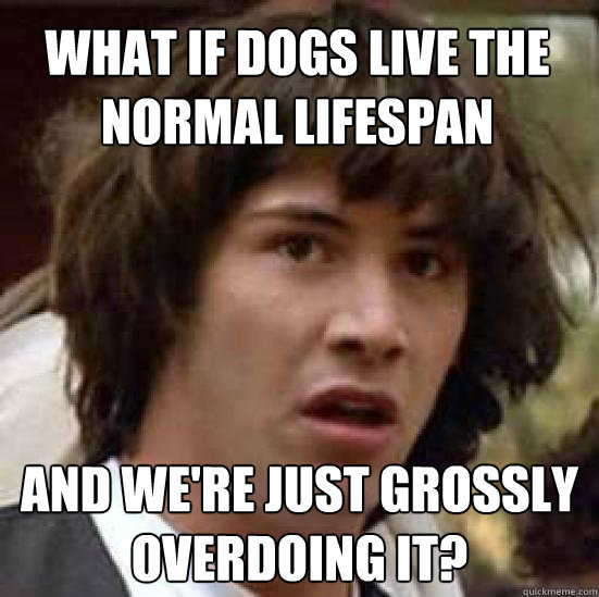 What if dogs live the normal lifespan And we're just grossly overdoing it?  conspiracy keanu