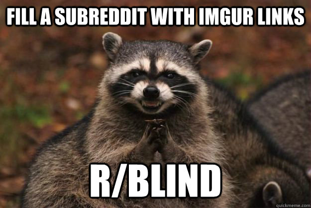 FILL A SUBREDDIT WITH IMGUR LINKS R/BLIND  Evil Plotting Raccoon