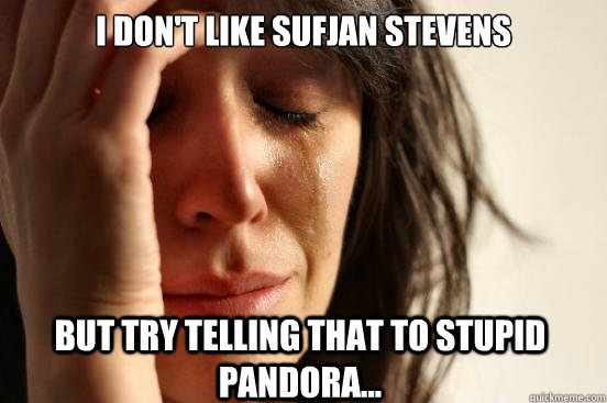 I don't like sufjan stevens but try telling that to stupid pandora...  First World Problems