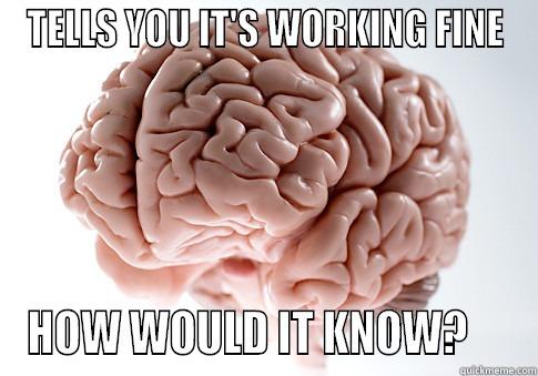 TELLS YOU IT'S WORKING FINE HOW WOULD IT KNOW?     Scumbag Brain