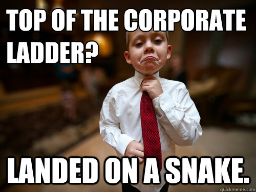 Top of the Corporate Ladder? Landed on a snake.  Financial Advisor Kid