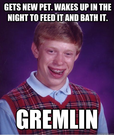 Gets new pet. Wakes up in the night to feed it and bath it. GREMLIN - Gets new pet. Wakes up in the night to feed it and bath it. GREMLIN  Bad Luck Brian