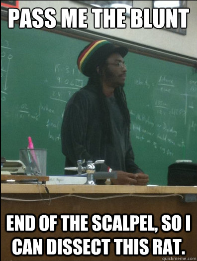 Pass me the blunt end of the scalpel, so I can dissect this rat.  Rasta Science Teacher