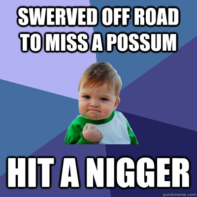 Swerved off road to miss a possum Hit a Nigger  Success Kid