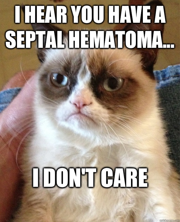 I hear you have a Septal Hematoma... I don't care
  Grumpy Cat