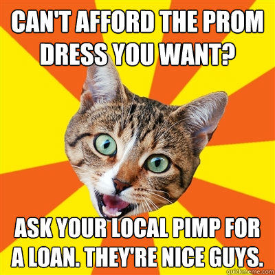 Can't afford the prom dress you want? Ask your local pimp for a loan. They're nice guys.  Bad Advice Cat