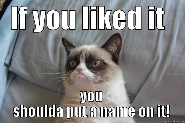 IF YOU LIKED IT  YOU SHOULDA PUT A NAME ON IT! Grumpy Cat