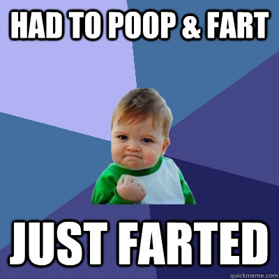 Had to poop & fart just farted - Had to poop & fart just farted  Success Kid