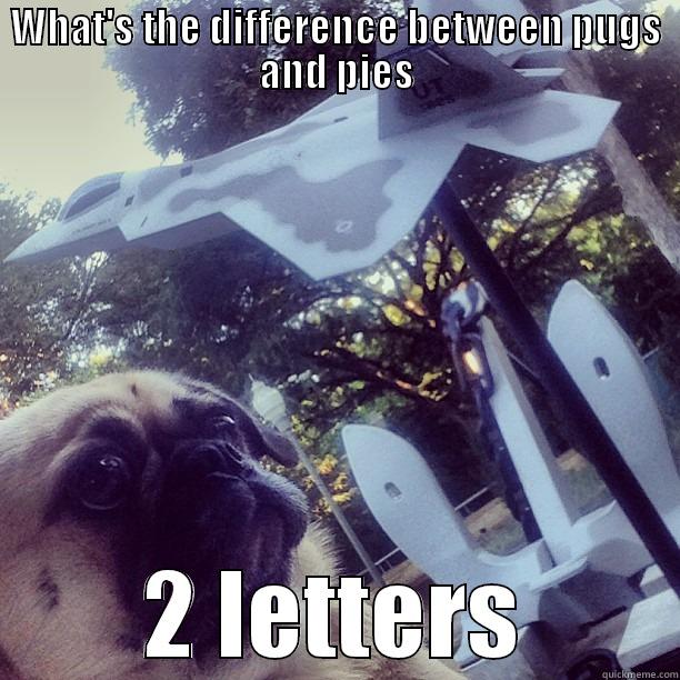 WHAT'S THE DIFFERENCE BETWEEN PUGS AND PIES 2 LETTERS Misc