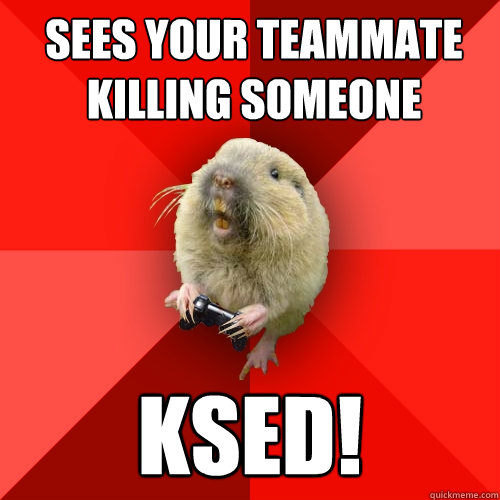 Sees your teammate killing someone KSed!  Gaming Gopher