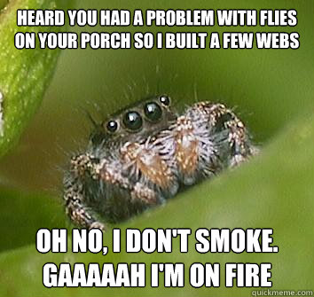 Heard you had a problem with flies on your porch so I built a few webs Oh no, I don't Smoke. Gaaaaah i'm on fire  Misunderstood Spider