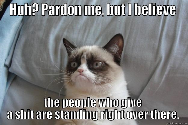 HUH? PARDON ME, BUT I BELIEVE THE PEOPLE WHO GIVE A SHIT ARE STANDING RIGHT OVER THERE. Grumpy Cat