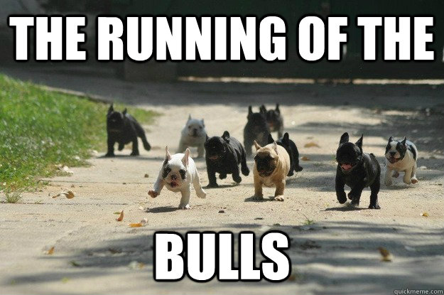 The running of the Bulls - The running of the Bulls  Misc