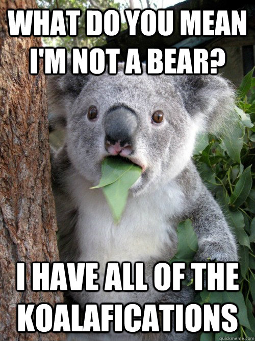 What do you mean I'm not a bear? I have all of the koalafications  Surprised Koala