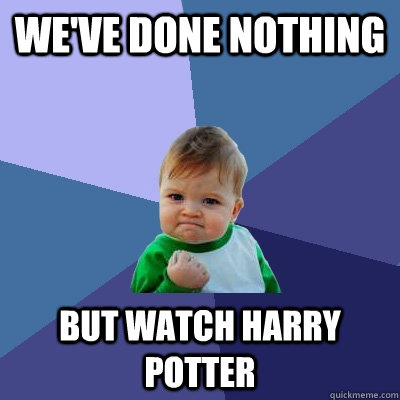 We've done nothing but watch harry potter  Success Kid