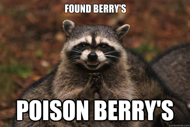 found berry's  poison berry's  Evil Plotting Raccoon