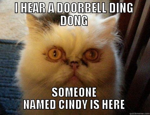 I HEAR A DOORBELL DING DONG SOMEONE NAMED CINDY IS HERE Misc