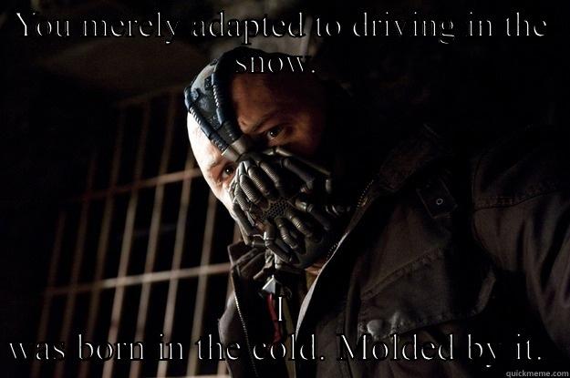 YOU MERELY ADAPTED TO DRIVING IN THE SNOW.  I WAS BORN IN THE COLD. MOLDED BY IT.  Angry Bane