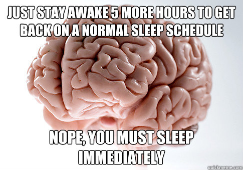 just stay awake 5 more hours to get back on a normal sleep schedule nope, you must sleep immediately  Scumbag Brain